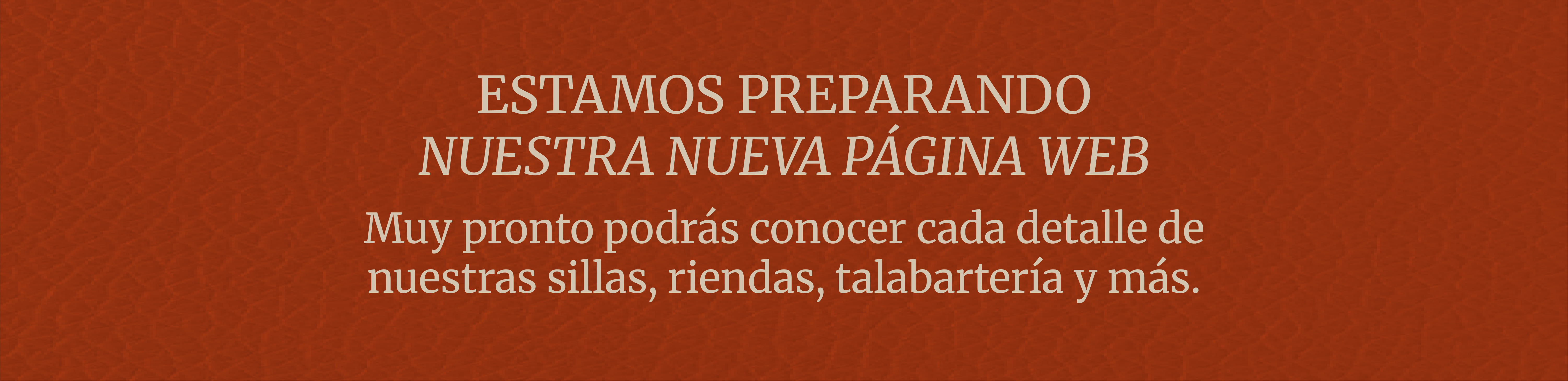 Estamos preparando nuestra nueva página web